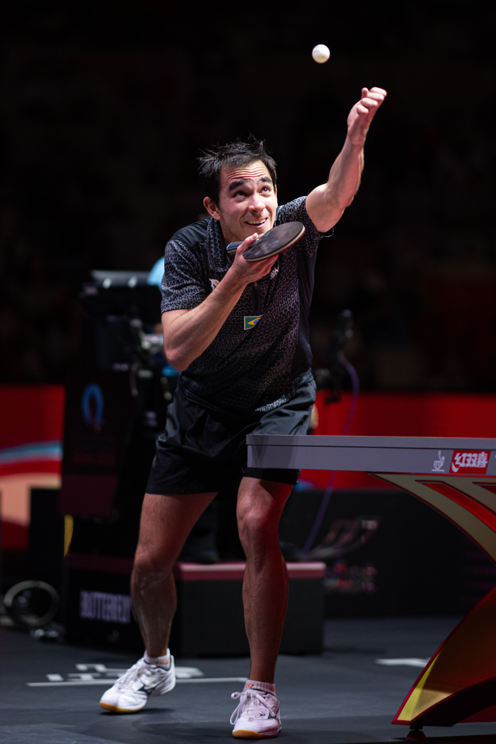 不仅仅是马 不仅仅是马