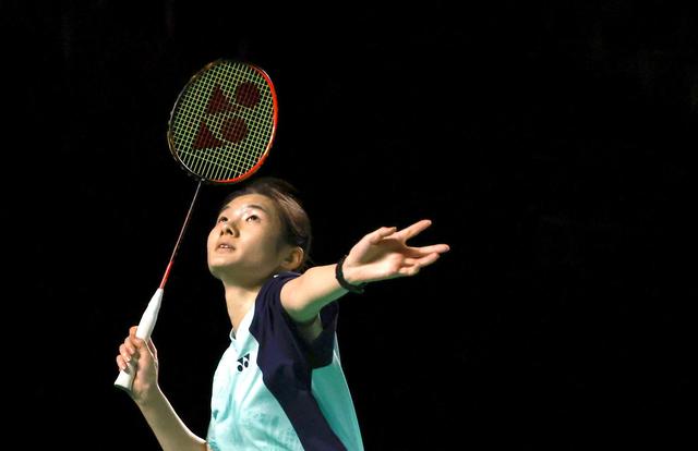 适度夸张的 适度夸张的